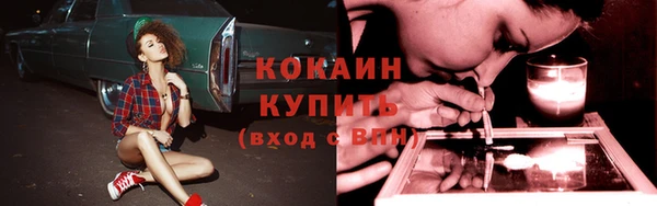 прущие крисы Алзамай