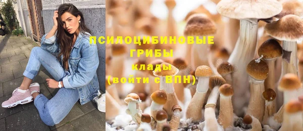 метамфетамин Алексин