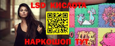 мяу мяу мука Новозыбков