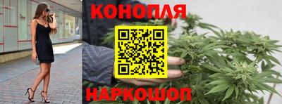 трава Новодвинск