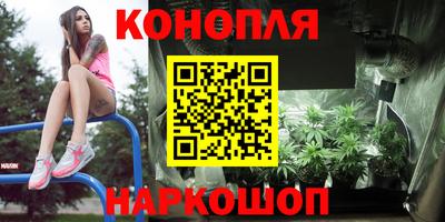 мяу мяу мука Новозыбков