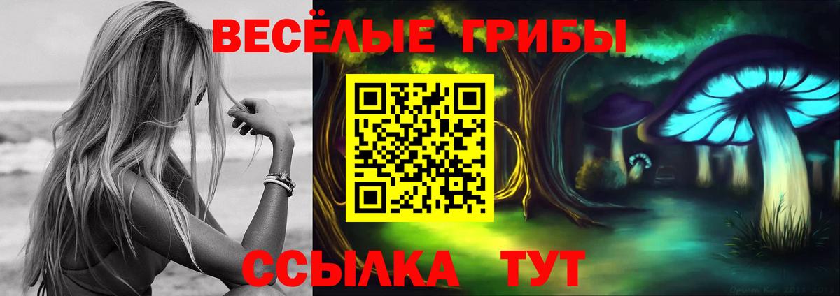 Галлюциногенные грибы ЛСД  Вход с VPN  Учалы 